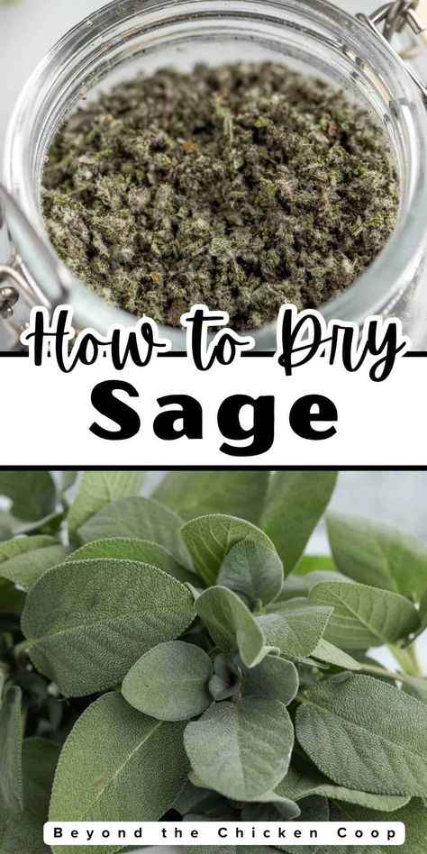 What To Do With Sage Leaves, Fresh Sage Uses, Sage Spice, Dry Sage, Growing Sage, Drying Fresh Herbs, Sage Recipes, Homemade Breakfast Sausage, Apple Breakfast