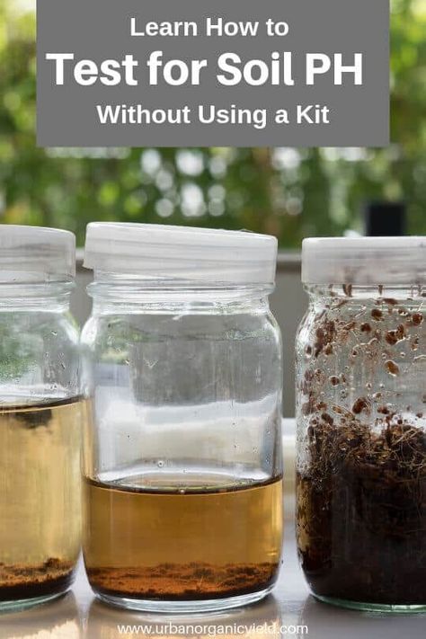 Clay Soil Improve, Soil Testing Diy, How To Test Your Soil At Home, How To Make Acidic Soil, How To Test Soil Diy, How To Test Soil Ph, How To Make Loamy Soil, Testing Ph Level In Soil, Testing Soil Ph