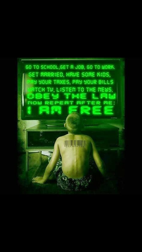 Wake up I Am Free, Writing Inspiration, Writing Prompts, Wisdom Quotes, Matrix, A Man, Words Of Wisdom, Government, Funny Pictures