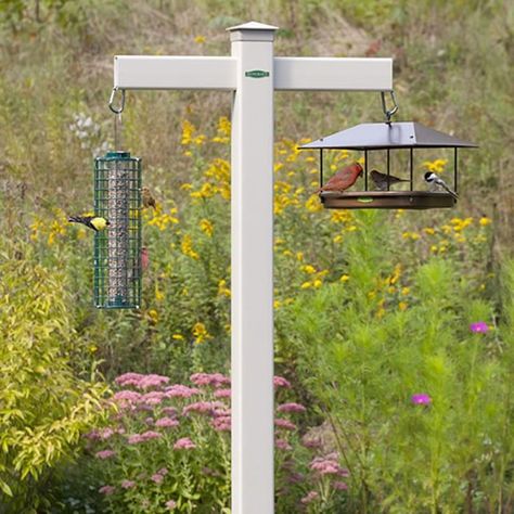 7 Best Bird Feeder Poles | The Family Handyman Bird Feeder Hangers, Bird Feeder Station, Bird Feeder Stands, Backyard Birds Feeders, Best Bird Feeders, Bird Feeder Poles, Bird Feeding Station, Diy Bird Feeder, Hanging Bird Feeders