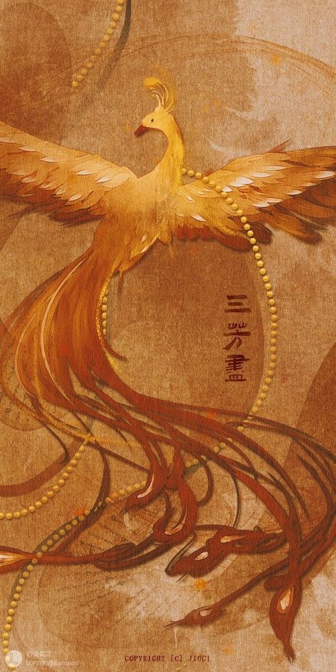 Chinese Mythology Aesthetic, Phoenix Aesthetic Bird, Phoenix Aesthetic Wallpaper, Phoenix Illustration, Gravity Art, Abundance Images, Phoenix Pattern, Chinese Aesthetic, Dragon Artwork Fantasy