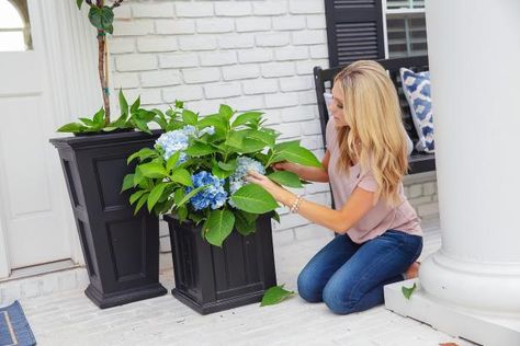 Mixed Outdoor Planters, Modern Chic Front Porch, Tall Porch Planter Ideas, Modern Porch Planters, Front Porch Planter Ideas Year Round, Faux Porch Flowers, Modern Front Porch Planters, Year Round Front Porch Decor, Front Porch Plants Year Round