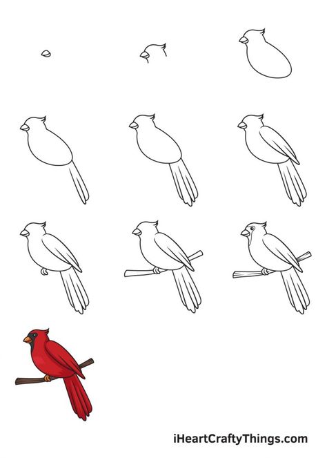 Cardinal Drawing - How To Draw A Cardinal Step By Step Drawing A Cardinal Bird, How To Draw A Cardinal Easy, How To Draw Cardinal Birds, How To Draw A Red Bird, How To Draw A Cardinal Step By Step, Cardinal Birds Drawing, Easy Cardinal Drawing, Simple Cardinal Drawing, Cardinal Painting Acrylic Easy