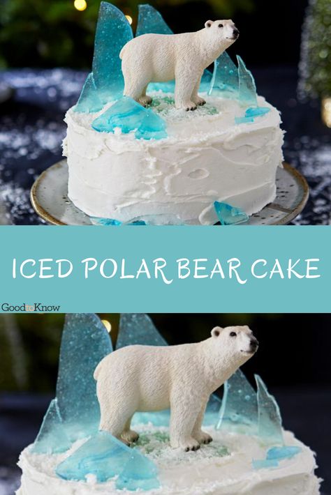 Looking for a christmas showstopper? Love all things snow and ice in the winter? Whether you're making this for children (or trying the boozy version for adults), everyone will love this iced polar bear cake. This striking but simple polar bear cake will amaze everyone, and there’s a clever trick to create these edible shards of ice. If you’re making this luxurious fruit cake for adults, soak the mixed fruit, candied peel and glacé cherries in the alcohol overnight. #polarbearcake #christmascake Arctic Cake, Polar Bear Cake, Polar Bear Party, Christmas Cake Decoration, Bear Food, Lila Party, Cake Decoration Ideas, Christmas Cakes Easy, Cake 5