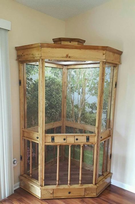 Diy Indoor Bird Cage, Bird Habitat Indoor, Bird Corner Ideas, Cool Bird Cages, Homemade Bird Cage, Budgie Enclosure, Bird Cage Ideas Indoor, Bird Cages Ideas, Bird Cage Ideas Diy