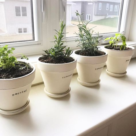 Kitchen Herb Planter Ideas, Indoor Herb Garden Planter, Kitchen Window Plants Ideas Indoor Herbs, Spice Garden Indoor, Window Ledge Herb Garden, Mini Herb Garden Indoor, Window Sill Herb Garden Indoor, Herbs On Window Sill, Potted Herbs In Kitchen