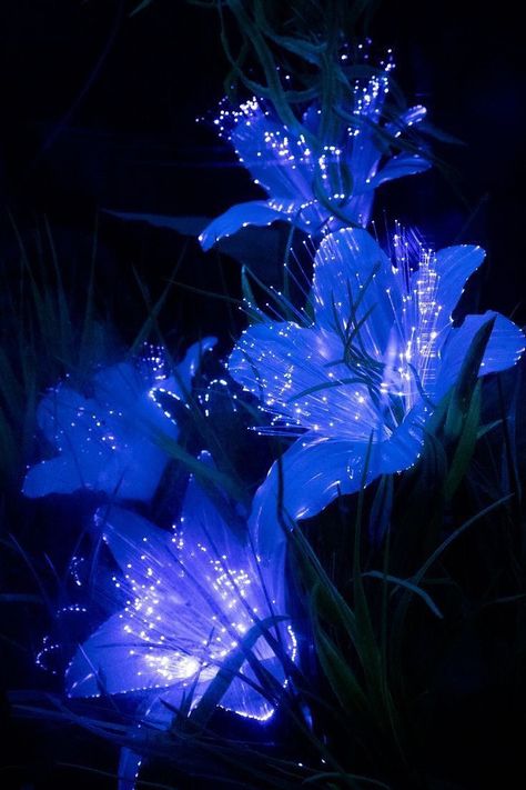 Blue Plant Aesthetic, Flower Wallpaper Photography, Blue Aesthetic Flowers, Night Blue Aesthetic, Night Aesthetic Blue, Bioluminescent Flowers, Blue Flower Aesthetic, Dark Flower Aesthetic, Blue Flowers Aesthetic