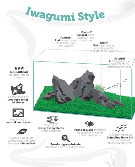 Iwagumi Aquascaping Style by TheAquariumGuide.com Tanaman Air, Fish Tank Themes, Fish Tank Terrarium, Aquascape Design, Fish Tank Design, Aquarium Terrarium, Fresh Water Fish Tank, Nano Aquarium, Aquarium Setup