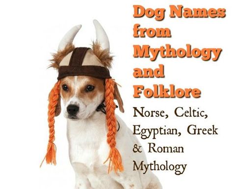 Viking Dog Names from Myth and Legend Unique Dog Names, Gods Goddesses, Pet Tips, Dog Whisperer, Puppy Day, Greek And Roman Mythology, Dog Brain, Roman Mythology, Unique Names