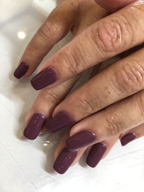 Plum wine by dnd 💅🏽 #gelcolor #gelnails #gelmani #gelpolish #urbannailsbar #dnd @dndgel Dnd Plum Passion, Dnd Wineberry 179, Dnd Plum Wine, Dnd Purple Gel Polish, Dnd Nails, Urban Nails, Gel Colors, Dnd Gel Polish, Plum Wine