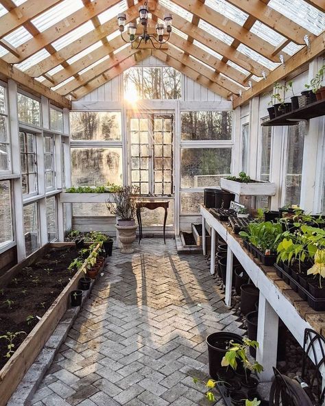 Old Glass Window Greenhouse, Greenhouse Window Ideas, Antique Windows Greenhouse, All Window Greenhouse, Four Season Greenhouse, Greenhouse Stained Glass Windows, Window Pane Greenhouse, Greenhouse Made Of Windows, Greenhouse With Windows