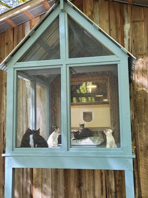 This Patterns & Blueprints item by Catio828 has 331 favorites from Etsy shoppers. Ships from United States. Listed on Apr 25, 2024 Catio Aesthetic, Cat Inclosers Outside, Diy Catios For Cats Window, Simple Catio Plans, Cat Enclosure Ideas, Catio Plans Diy, Cat Room Outdoor, Catios Ideas For Cats, Catios For Cats Window