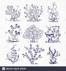 Draw Underwater, Plant Doodle, Underwater Plants, Ballpoint Pen Drawing, Sea Plants, Plant Drawing, Cartoon Background, Surf Art, Pen Art