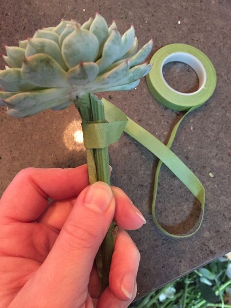 How To Wire a Succulent for a Bouquet - Real Flower Business Diy Succulent Corsage, Bouquet Arrangements Diy, Succulent Bouquet Diy, Diy Boutonniere Wedding, Succulent Corsage, Succulent Boutonniere, Succulent Bouquet Wedding, Succulent Bouquet, Flower Business