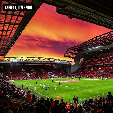 Liverpool Fc Stadium, Liverpool Stadium, Liverpool Images, Liverpool Game, Liverpool Club, Football Squares, Ynwa Liverpool, Stadium Wallpaper, Liverpool Anfield