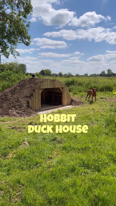 Jess Gough | Any name suggestions for the ducks? 😅 Here’s how we built our hobbit-inspired duck home. We cut some reclaimed plywood into a semi-circle... | Instagram Duck House By Pond, Duck Pond Backyard, Geese House Ideas, Duck Run Ideas, Duck House Ideas, Duck Ramp, Goose Coop, Duck Pond Ideas, Duck Coop Ideas