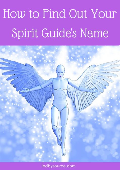 How to communicate with your spirit guides, see them and find out their names. Spirit Guides Meditation, Angel Spirit, Angel Guide, Angel Guidance, Spirit Guide, Dream Symbols, Psychic Development, Spiritual Guides, Guardian Angels