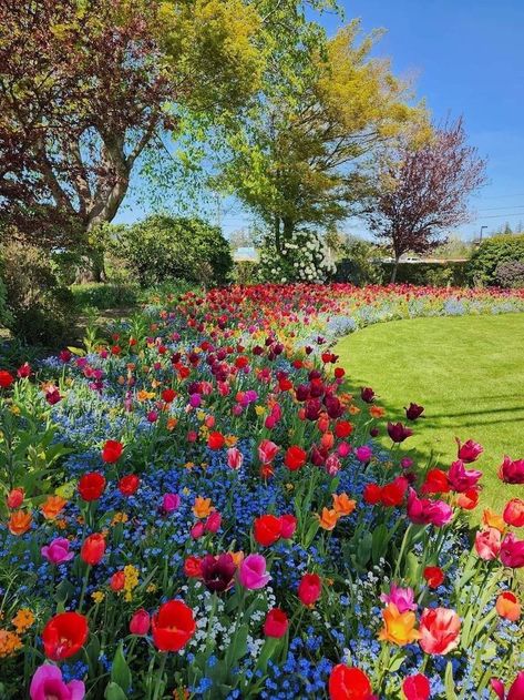 Summer Flower Garden, Bed Of Flowers, Aesthetic Plants, Summer Flowers Garden, Nothing But Flowers, Flower Therapy, Beautiful Bouquet Of Flowers, Pretty Plants, Flower Bed