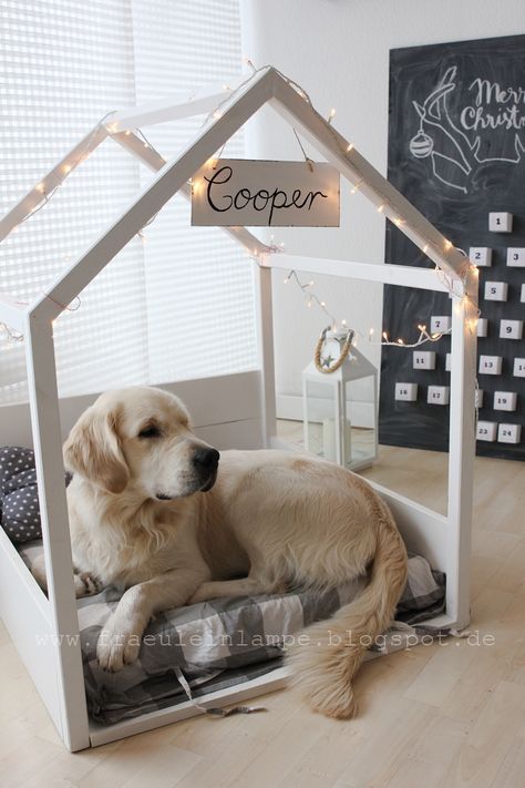 Apartment Dog, Kennel Ideas, Puppy Room, Diy Dog Bed, Dog Rooms, Dog Kennel, Dog Houses, Diy Dog Stuff, Newfoundland