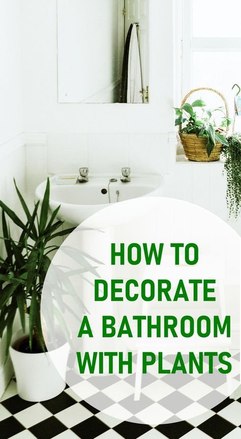 How to Decorate Your Bathroom with Plants How To Add Plants To Your Bathroom, Bathroom Plant Decor Ideas Modern, Indoor Plants Styling Bathroom, Live Plants In Bathroom, Plants In Master Bath, Greenery In Bathroom Ideas, Plants By Bathtub, Bathroom Sink Plants, Large Bathroom Plants