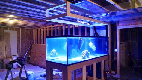 Alan's 450g Peninsula Tank - Reef Central Online Community Peninsula Reef Tank, Peninsula Aquarium, Reef Tank Design, Saltwater Aquarium Setup, Aquarium Store, Saltwater Aquariums, Wall Aquarium, Diy Fish Tank, Reef Tanks