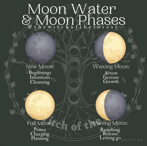 Waning Crescent Phase, Waning Crescent, Lunar Magic, Witch Rituals, Moon Water, Wiccan Magic, Moon Cycle, Moon Journal, Witch Spirituality