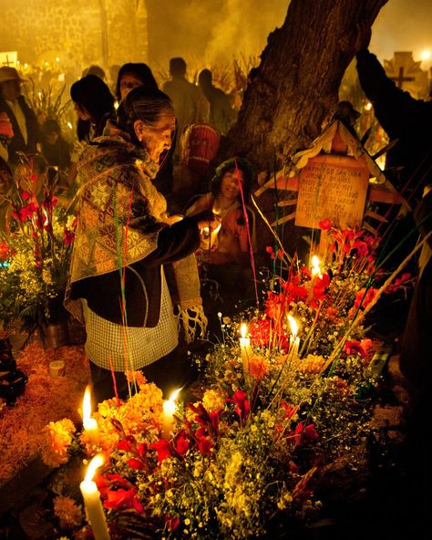 Marigolds & the Mexican Day of the Dead - Wonderground English Day, Mexican Day Of The Dead, All Souls Day, Beautiful Story, All Souls, México City, Mexican Culture, Beautiful Stories, Flower Market