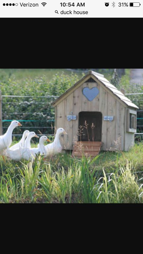 Duck house Duck Raising, Duck House Plans, Duck Houses, Farmer Family, Duck Pens, Goose House, Backyard Ducks, Duck Coop, Raising Ducks