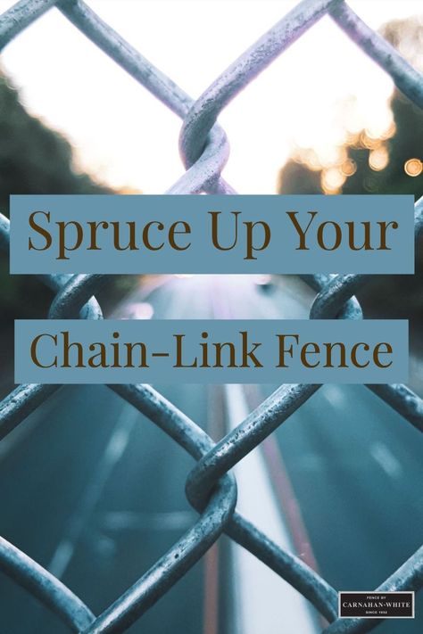 Not the biggest fan of your chain-link fence design? Here are some ways to update your chain-link fence and make it look like new. How To Make Chain Link Fence Look Better, Improve Chain Link Fence, Updating Chain Link Fence, Decorated Chain Link Fence Ideas, Privacy Fence Ideas Chain Link, Fixing Chain Link Fence, Chain Length Fence Ideas, Chain Link Fence Flower Boxes, Trellis On Chain Link Fence