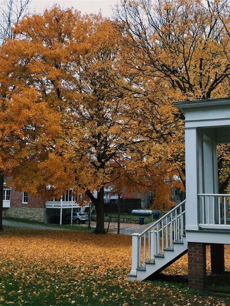 Beautiful fall day at Arrow Rock in Missouri! Missouri Aesthetic, House Cozy, American States, Aesthetic Winter, Gone Girl, Fall Day, Yellow Leaves, Fall Aesthetic, Home House