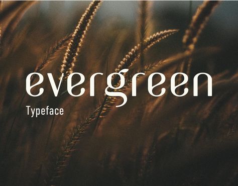 Check out this @Behance project: “Evergreen typeface” https://www.behance.net/gallery/53511679/Evergreen-typeface Classic Serif Fonts, Logo Word, Different Font Styles, Communication Logo, Modern Sans Serif Fonts, Typography Love, Modern Sans Serif, Font Inspiration, Learning Graphic Design