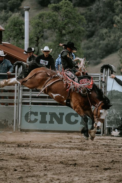 Bronc Riding Photography, Nfr Barrel Racing Aesthetic, Bronc Riding Aesthetic, Bronc Riding Wallpaper, Rodeo Life Aesthetic, Bull Riding Aesthetic, Rodeo Wallpapers, Nfr Aesthetic, Rodeo Tattoo