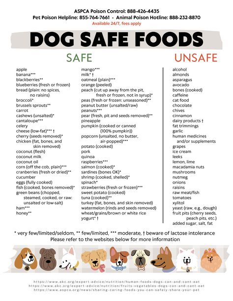 Dog Safe Food and Unsafe Food List, Safe Foods for Dogs, Unsafe Foods for Dogs, 8.5 X 11 DIGITAL DOWNLOAD, Print at Home - Etsy Human Food Safe For Dogs, List Of Dog Safe Foods, Snacks For Puppies, Food Safe For Dogs, Foods Safe For Dogs, Diy Farmers Dog Food, Dog Food Add Ins, Diy Dog Treats To Sell, Dog Food For Skin Allergies