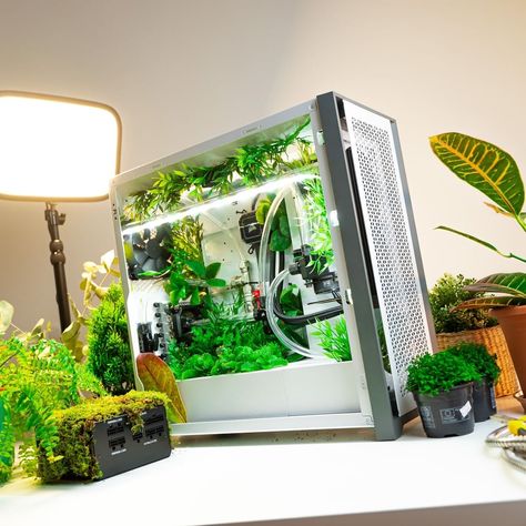 Ghibli Pc Setup, Green Gaming Setup, Triple Monitor Setup, Best Pc Gaming Setup, Desktop Ideas, Green Pc, Pc Building, Monitor Setup, Green Computing