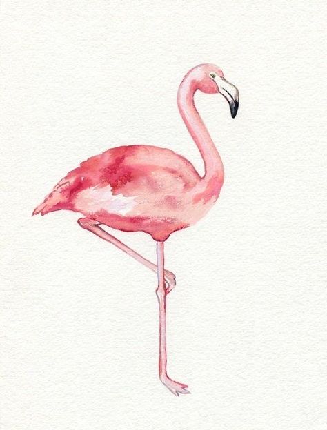 Flamingo Watercolor, Flamingo Tattoo, Flamingo Painting, Flamingo Art, Watercolour Inspiration, Flamingo Pink, Pink Bird, Watercolor Paintings Tutorials, Watercolor Inspiration