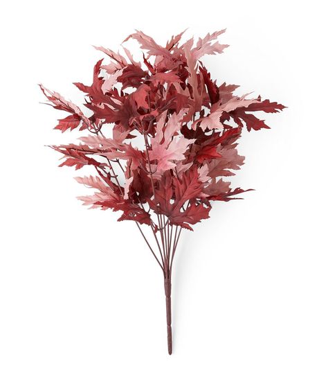 Bring the Beauty of Fall Indoors with the 18" Fall Pink & Burgundy Maple Leaves Bush by Bloom RoomTransform your home into a comfy autumn oasis with the 18" Fall Pink & Burgundy Maple Leaves Bush by Bloom Room This stunning decorative piece is perfect for adding a touch of warmth and color to any room in your home The beautiful pink and burgundy hues of the maple leaves create a comfy and inviting atmosphere that will make you feel right at homeMeasuring 14" L x 14" W x 18" H, this maple leaves bush is the perfect size for displaying on a mantle, bookshelf, or coffee table The 90% polyester and 10% stem construction ensures that this decorative piece will last for many autumns to come Product DetailsDimensions: 14" L x 14" W x 18" H90% Lvs(80%Polyester 20%Polyethylene), 10% Stem(90%Polyeth Burgundy Fall Decor, Mantle Bookshelf, Pretty Porches, Fall Pink, Pink And Burgundy, Fall Mantle, Bohemian Fall, Decor 2024, Fall Outdoor