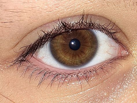 Light Brown Eyes, Styles Clothes, Eye Close Up, Dog Breeds List, Eye Drawing Tutorials, Dump Ideas, Beautiful Brown Eyes, Ghost Photos, Dark Brown Eyes