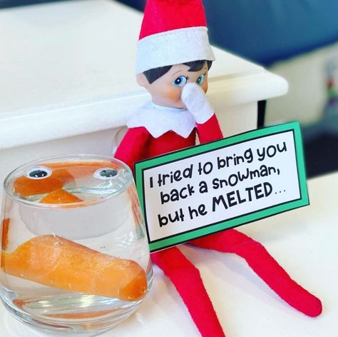 57+ Funny Elf on the Shelf Ideas for Teens - momma teen Day 1 Elf On The Shelf Ideas Im Back, Elf On The Shelf Bingo, Elf On The Shelf Ideas When Kids Are Bad, Thrifted Christmas Gifts, Elf Ideas Easy Funny, Elf On The Shelf Classroom, Elf On Shelf Funny, Elf Tricks, Elf Classroom