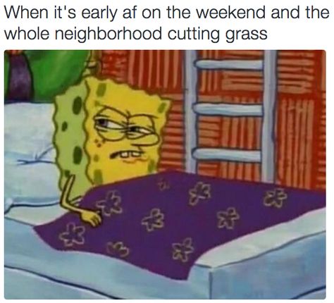 On sleeping in: | 32 Times SpongeBob Perfectly Summed Up Your Life Spongebob Memes, Tumblr Posts, Bones Funny, Memes Quotes, Funny Cute, Dankest Memes, True Stories, Make Me Smile, Funny Animals