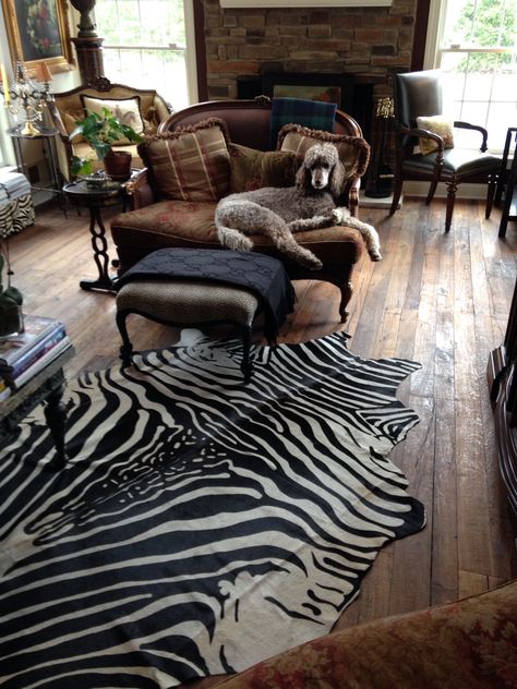 Princess Tosh -#Raisingourstandards Cowhide Rug Bedroom, Zebra Living Room, Zebra Cowhide Rug, Zebra Hide Rug, Zebra Rugs, African Bedroom, Zebra Print Rug, Zebra Hide, Zebra Decor