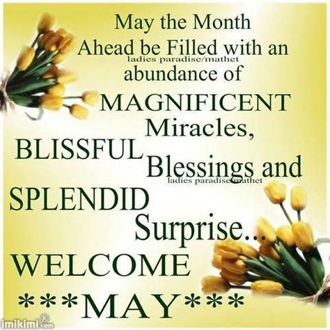 Welcome May Wishes Welcome May Month, May Month Quotes, Happy New Month Messages, Hello May Quotes, Wonderful Day Quotes, May Month, New Month Wishes, New Month Quotes, Welcome May