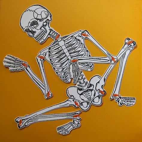 Diy Halloween Skeleton, Diy Skeleton, 3d Skeleton, Mr Bones, Kindergarten Learning Activities, Skeleton Print, Card Tricks, Cardboard Art, Halloween Skeleton