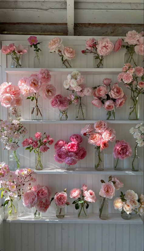 Karton Design, Boquette Flowers, David Austin Roses, Flower Therapy, Beautiful Bouquet Of Flowers, Deco Floral, Amazing Flowers, Love Flowers, Flower Shop