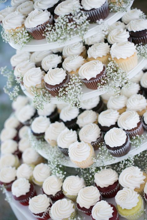 Cupcake Display with Baby's Breath Accents Engagement Cupcakes, Wedding Cupcake Display, Rustic Cupcakes, Cupcake Table, Gypsophila Wedding, Wedding Desert, Bridal Shower Cupcakes, Torte Cupcake, Cupcake Display