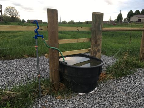 Sheep Water Trough, Livestock Water Trough Ideas, Horse Water Trough Ideas, Cattle Water Trough, Horse Water Trough, Cow Feeder, Livestock Water Trough, Small Homestead, Horse Trough