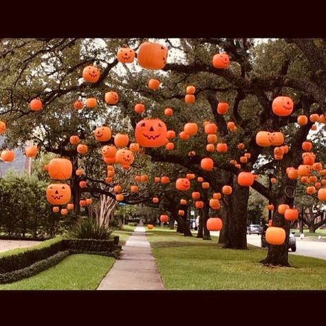 🎃🎃🎃🎃 Goals! Never even thought to do this. Having a giant tree in the front would really help...hence, goals. But seriously cool though I… Summer Crafts, Holiday Deco, Halloween Countdown, Halloween Queen, Can You Feel It, Outdoor Halloween, Samhain, Wonderful Time, Pumpkin Patch