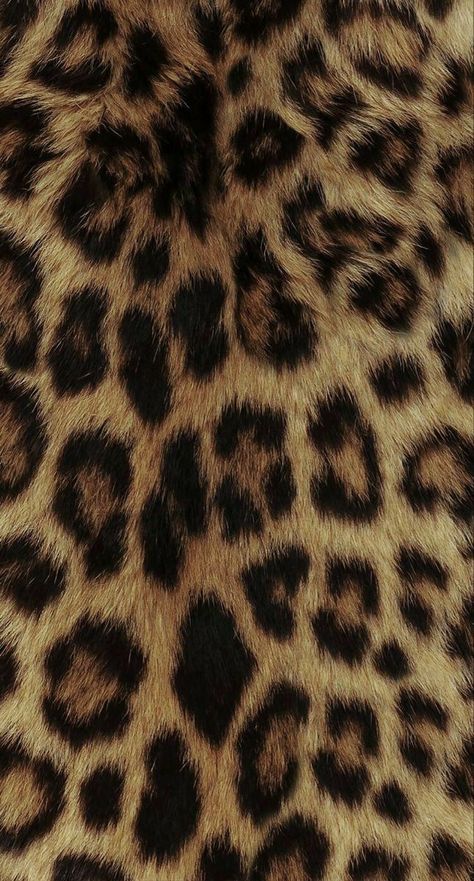 Leopard Print Background, Leopard Print Wallpaper, Cheetah Print Wallpaper, Iphone Homescreen Wallpaper, Mood Wallpaper, Iphone Background Wallpaper, Homescreen Wallpaper, Print Wallpaper, I Wallpaper