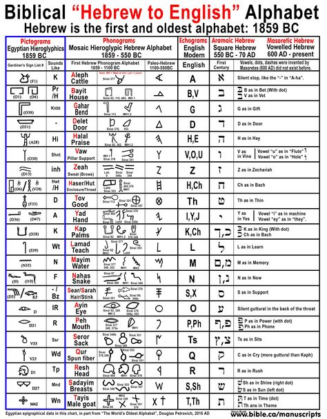 Hebrew: The World’s Oldest Alphabet: English came from Hebrew Paleo Hebrew Alphabet, Ancient Hebrew Alphabet, Learn Hebrew Alphabet, Hebrew Language Learning, Hebrew Language Words, Hebrew Vocabulary, Paleo Hebrew, Ancient Alphabets, English To Hebrew