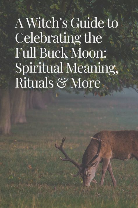 This guide will help you explore the spiritual meaning of the Buck Moon, its rich history and folklore, and various ways to celebrate this magical time.

buck moon, full buck moon july 2024, buck moon spiritual meaning, buck moon rituals, buck moon symbolism, buck moon correspondences Nature, Buck Moon Ritual 2024, Buck Moon 2024, July Full Moon 2024, Full Moon Symbolism, Buck Moon Meaning, Buck Moon Ritual, Moon Correspondences, Moon Symbolism