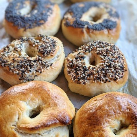 Sourdough Bagels Recipe, Bagels Easy, Easy Bagel, Vegan Pantry Staples, South Indian Kitchen, Bagels Recipe, Sourdough Bagels, Vegan Pantry, Sourdough Starter Recipe